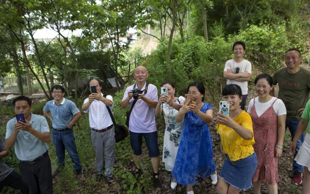 团风县但店镇兰家畈村出名了靠啥出名的呢可用8个字概括原因