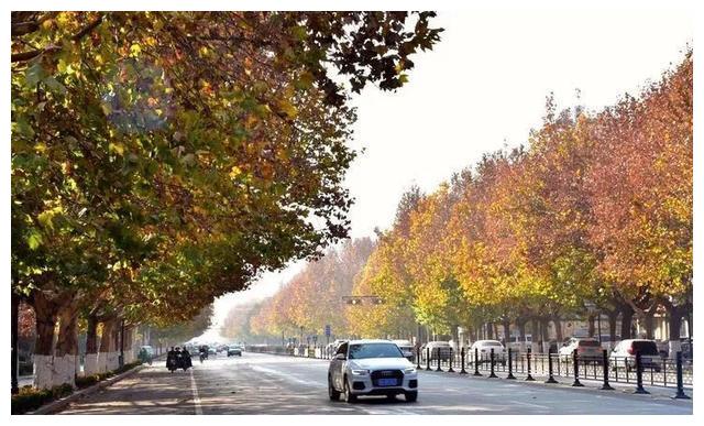 一起來看看,青州的路到底有多美~|青州|多美|道路_新浪新聞