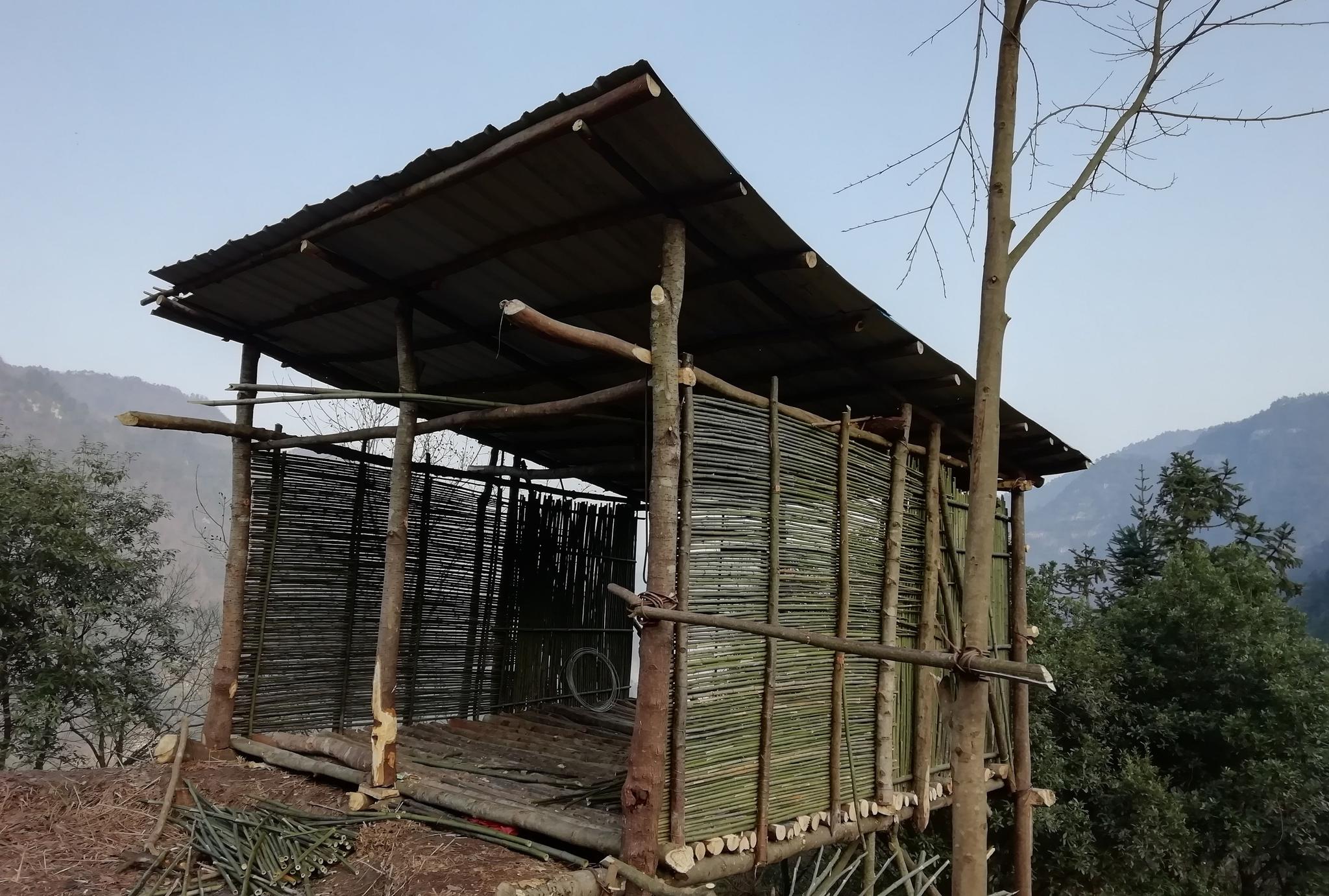 过自己想要的生活,贵州90小伙后不顾家人反对在深山搭棚隐居