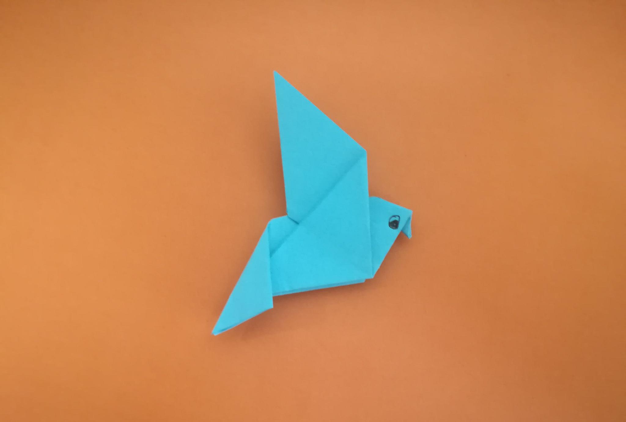 教你用折纸diy一只和平鸽,简单好玩!_高清图集_新浪网