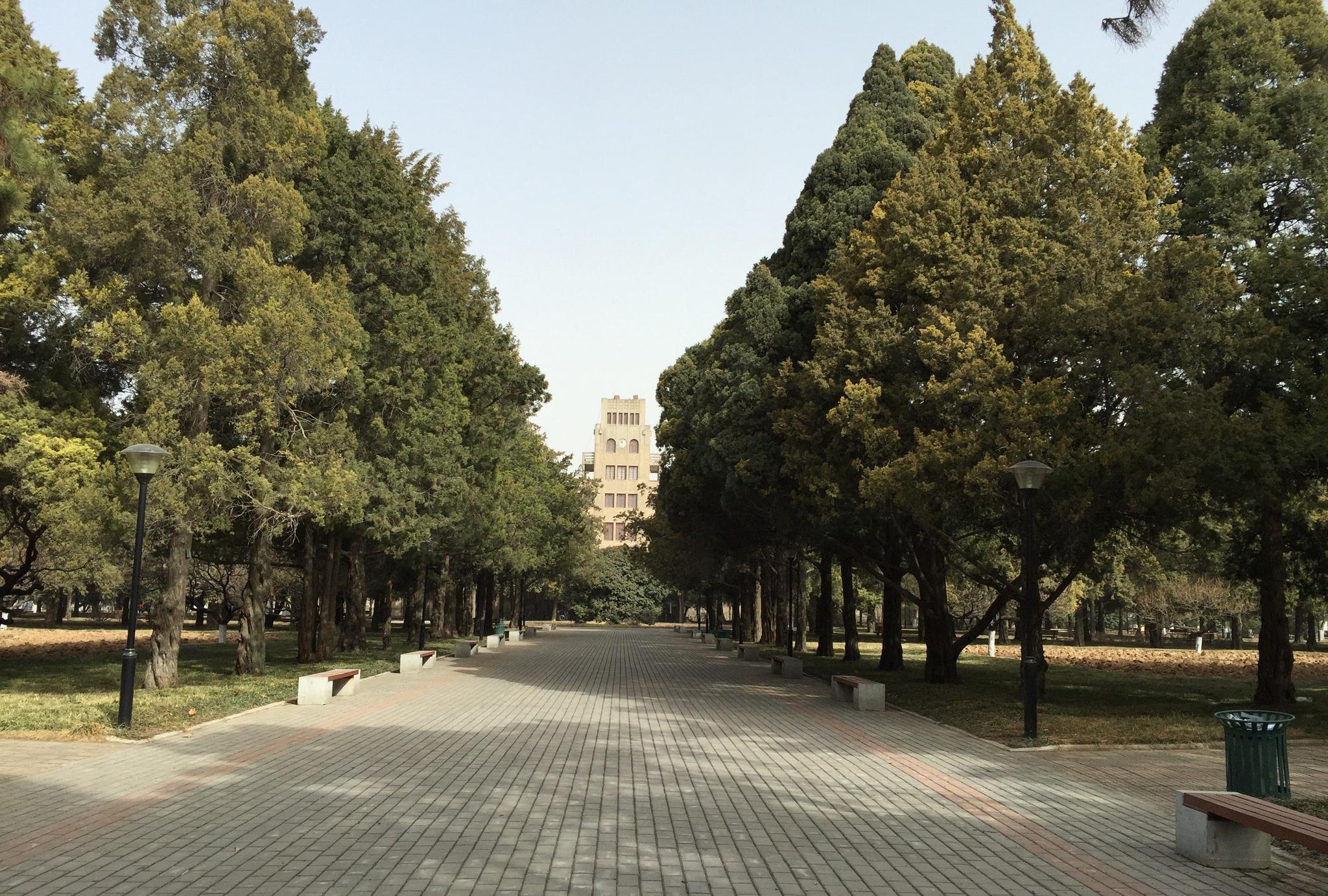 杨陵镇,不但是中国第一个农业高新区,还有一所985大学,厉害