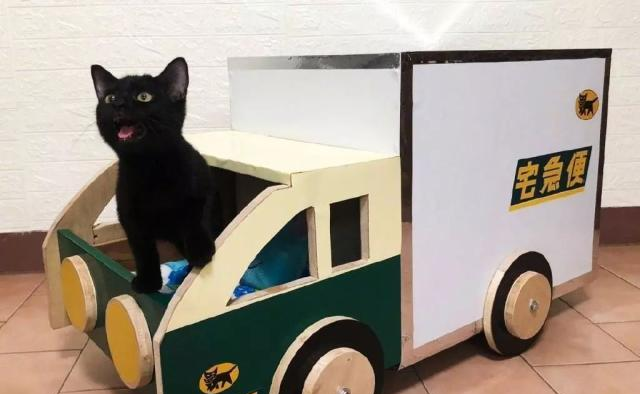 主人给家里的黑猫打造一台专属猫车,还能秒变移动宅急便所!