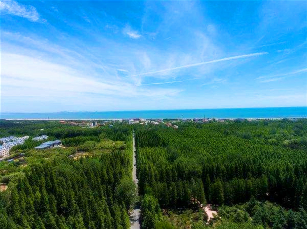 公式篇!日照旅游一卡通"全力以赴"-第2张图片-天福博客