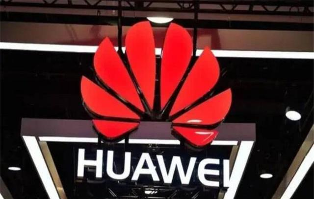 �׹��Ŀڣ���������������ʵʩ��Ϊ����