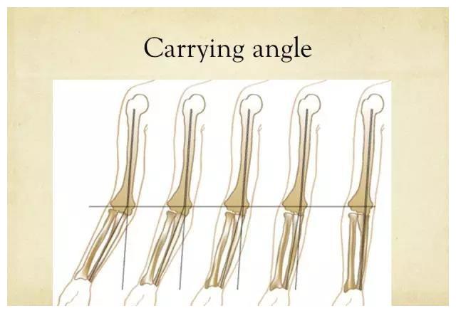 有的人上肢在下垂状态时,由于提携角较大,因而前臂距离身体距离较远