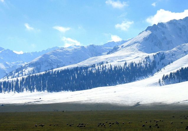 哪些地区积雪厚