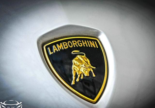 兰博基尼的车标是愤怒的公牛,按照兰博基尼家族的惯例,大牛上市会起一