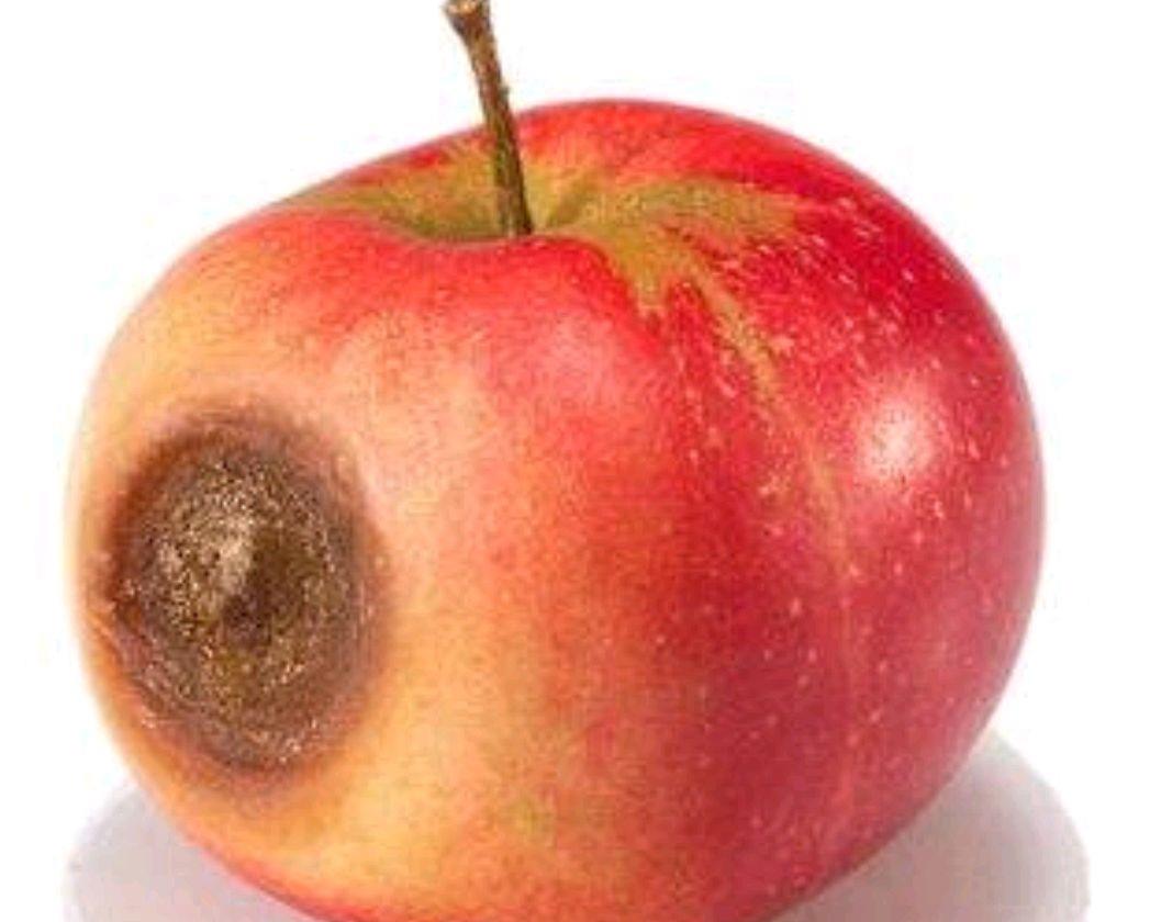 烂苹果的好你知道几种毛哥跟你谈