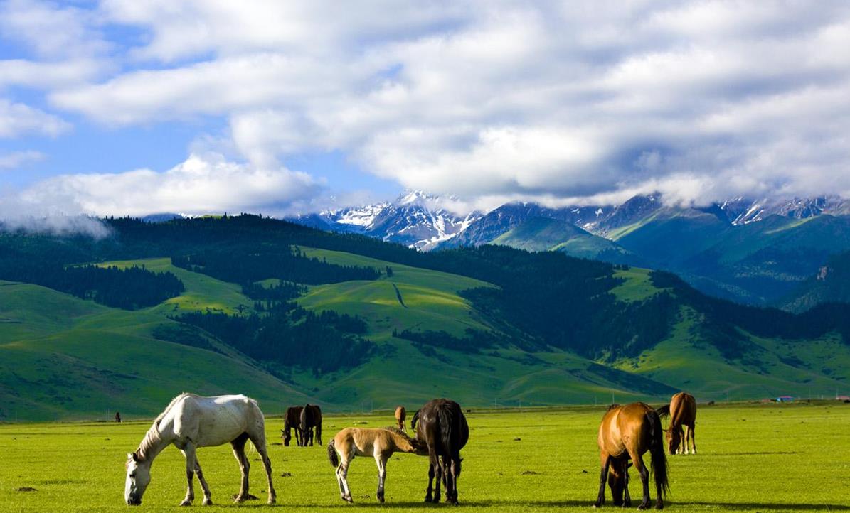 你不可错过的北欧之旅,丹麦菲茵岛纪行
