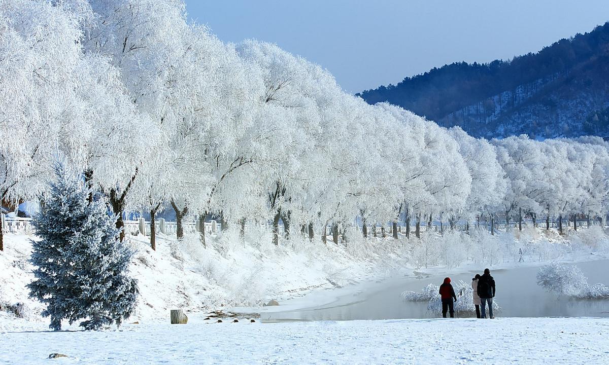 冬季到北国去看雪,寻找心中的林海雪原|林海雪原|漠河|北国风光_新浪新闻