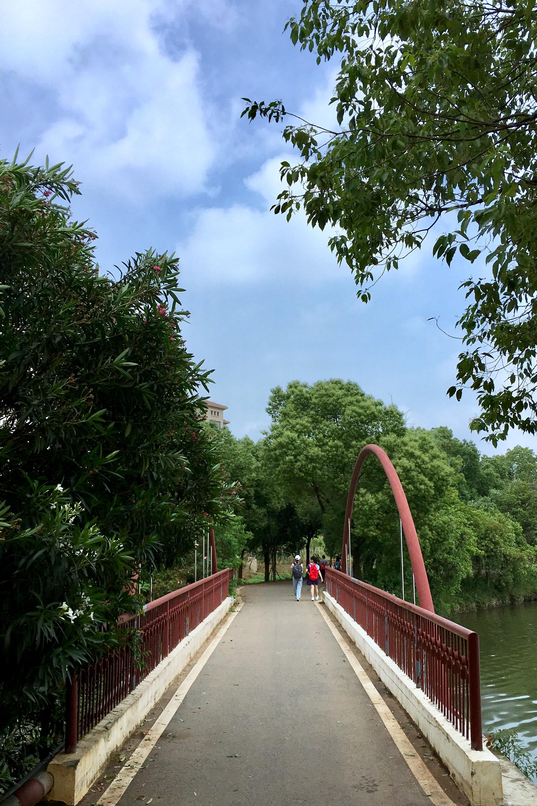 形形色色的桥【武汉 江夏区 汤逊藏龙岛国家湿地公园】