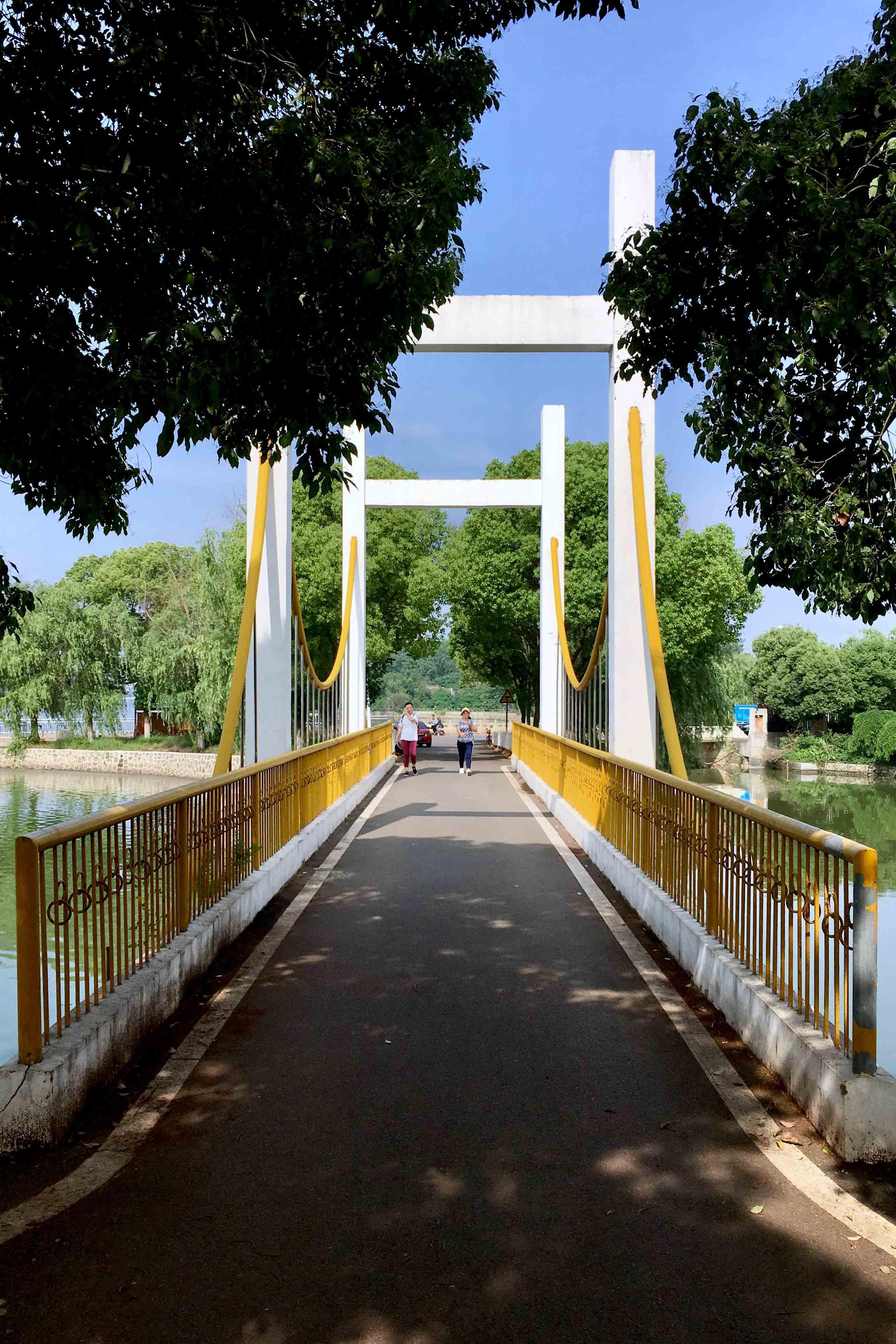 形形色色的桥【武汉 江夏区 汤逊藏龙岛国家湿地公园】