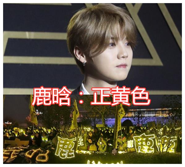 爱豆"应援色"都是啥?王一博绿海,鹿晗黄海,看到张杰:是心动