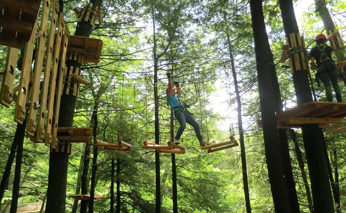 聆听自然慰藉心灵的丛林探险之旅