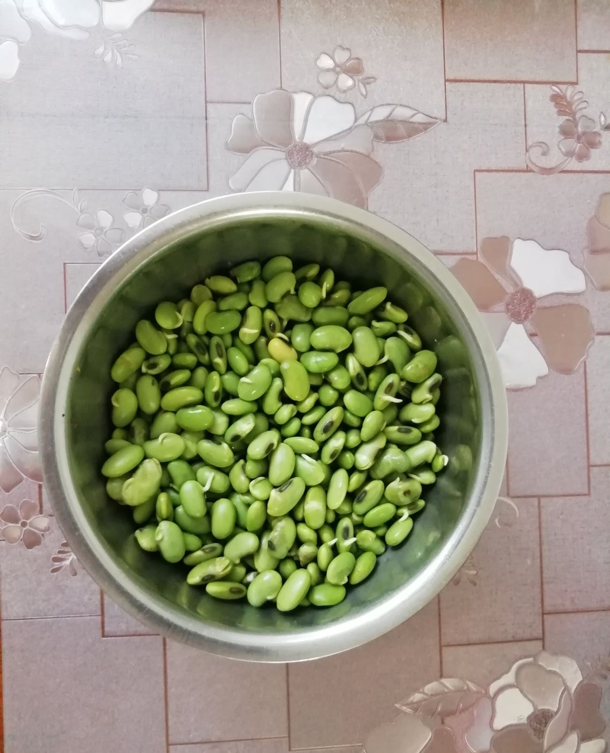 向你展示茶豆变身下酒小菜的过程 方法简单 菜品喜人 下酒爽口