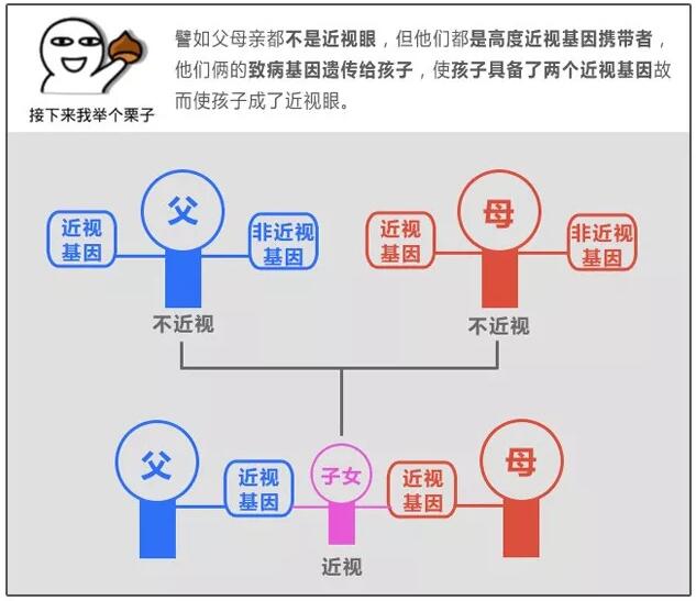 高度近视|遗传|角膜_新浪新闻