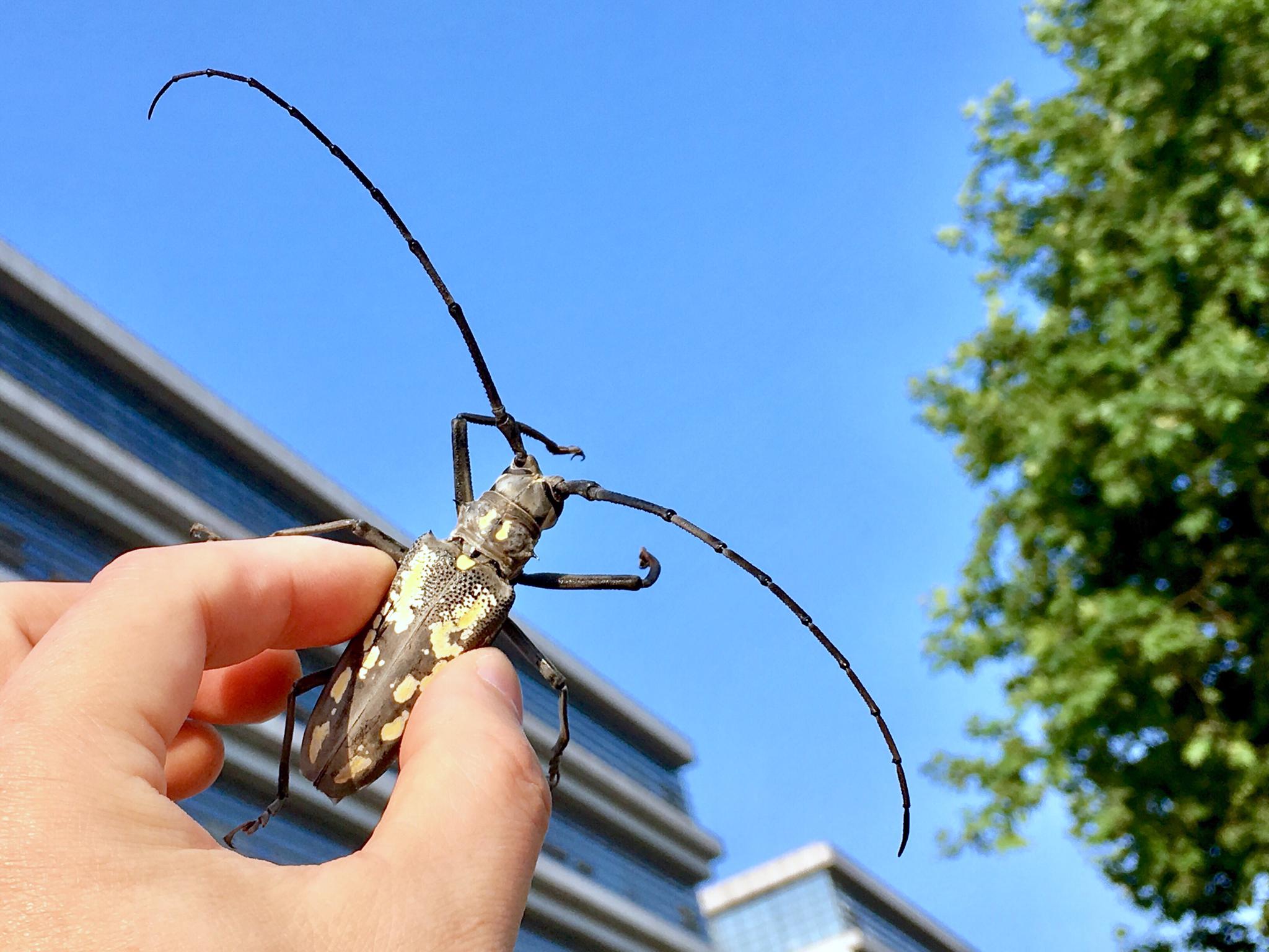 必须重点关注：赤峰哪里有妞子最新？本地资源解析与靠谱推荐指南