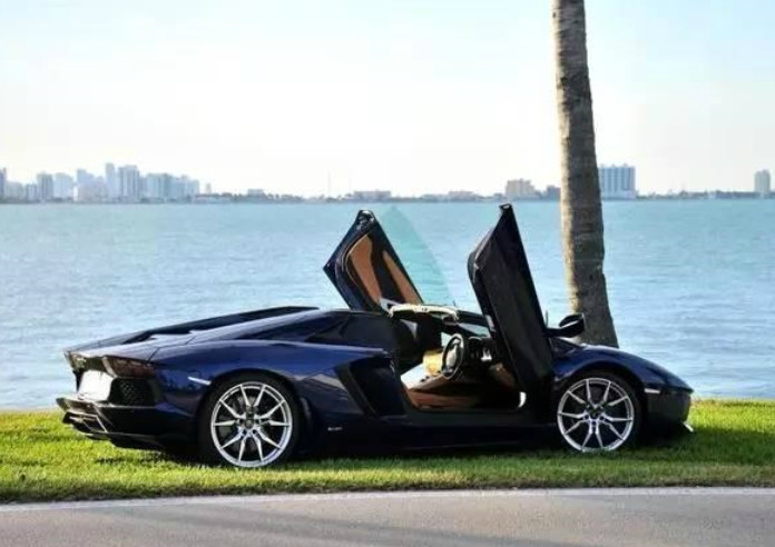 世界上最炫酷的汽车开门方式兰博基尼上榜你最青睐哪一种