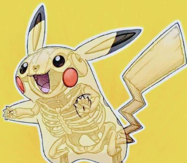 宝可梦x光图出来了,其实皮卡丘不是虚胖,百变怪看得我浑身发麻