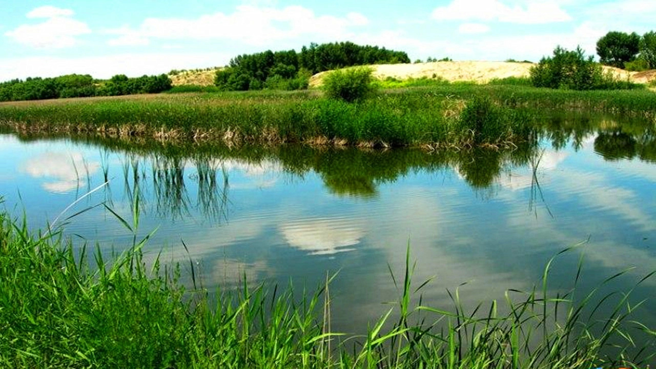 湖水如海,柔沙似绸,天水一色,苇丛若画的沙湖,是最佳观鸟地