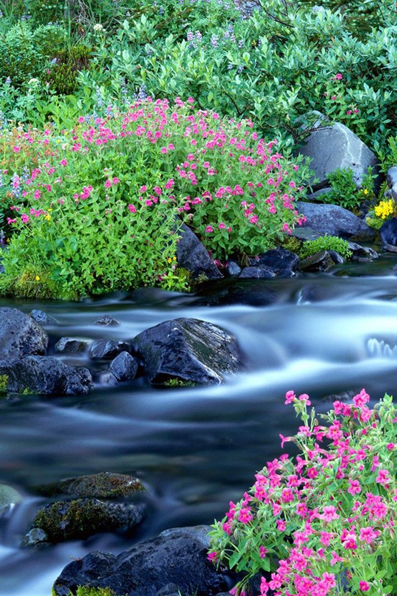 美丽的自然风景 可以做手机壁纸 很美 美丽的自然风景 可以做手机壁纸 很美