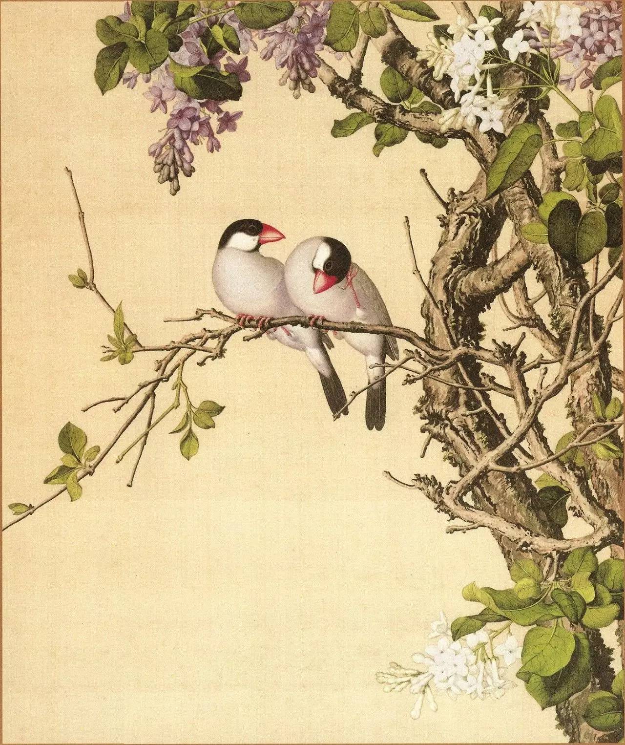 清朝宫廷画家郎世宁画作大全 乾隆魏璎珞画像皆出其手|郎世宁|乾隆|画