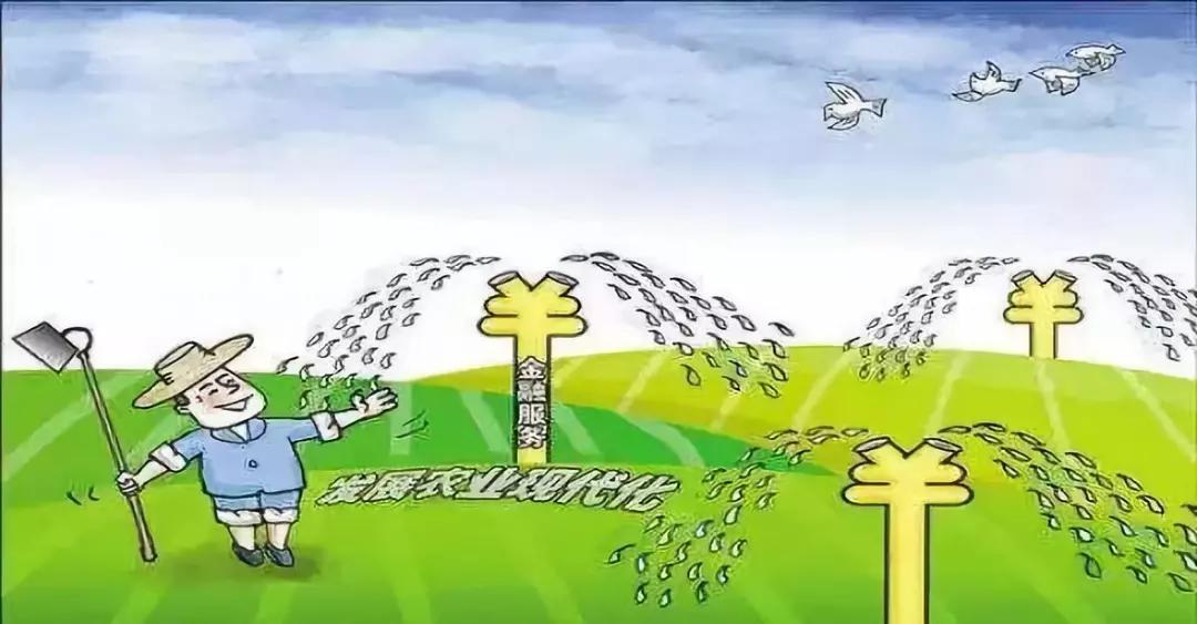 形成多种形式适度规模经营,发展社会化大生产是现代农业的必然选择