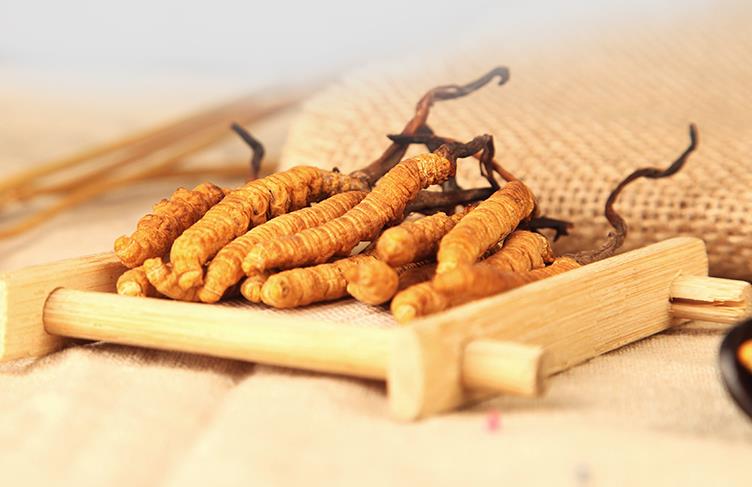 据医学科学分析,虫草体内含虫草酸,维生素b12,脂肪,蛋白等,性甘,温平