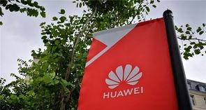 �׹��Ŀڣ���������������ʵʩ��Ϊ����