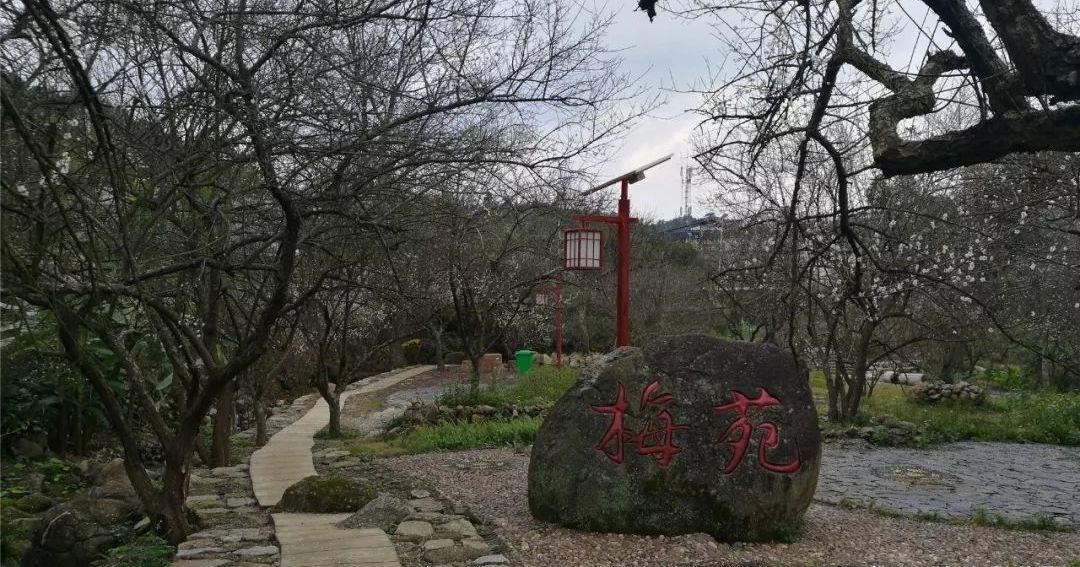 陈平梅花节|又是一年赏梅时,香飘十里,不如在陈平梅花节遇见你