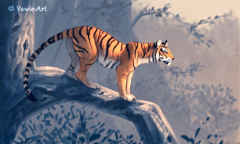 一组漂亮的动物插画欣赏各种姿态的老虎画的很传神