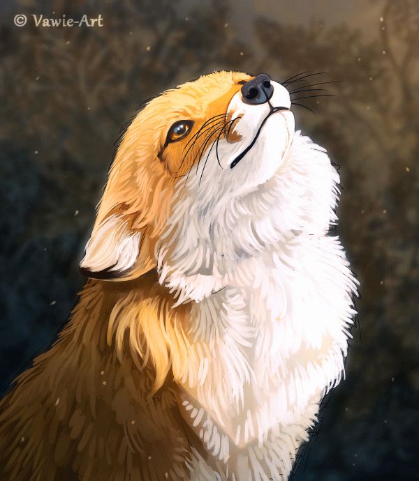 一组漂亮的动物插画欣赏:各种姿态的狐狸,画的很传神|插画|狐狸|画师