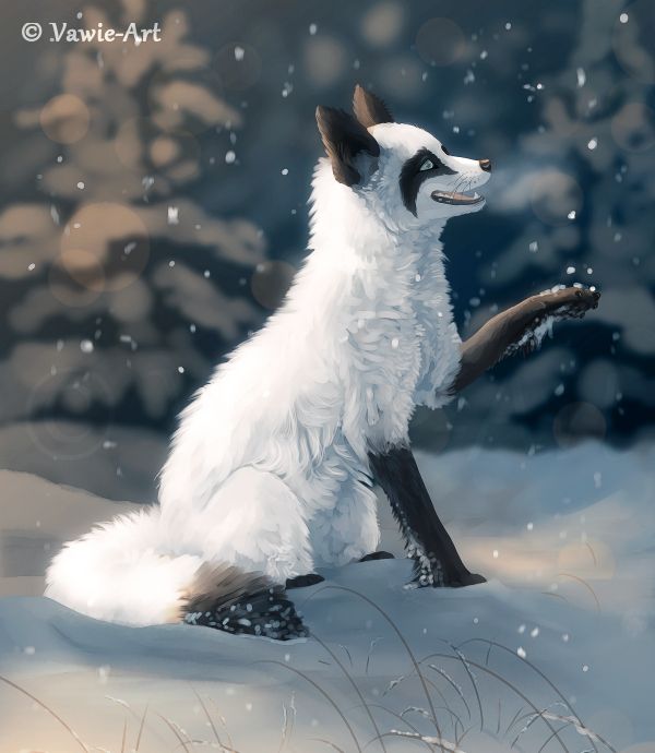 一组漂亮的动物插画欣赏:各种姿态的狐狸,画的很传神