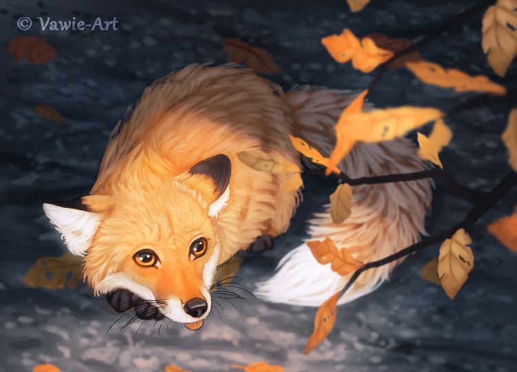 一组漂亮的动物插画欣赏:各种姿态的狐狸,画的很传神