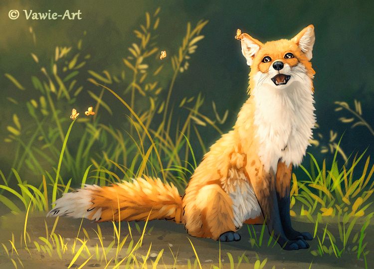 一组漂亮的动物插画欣赏:各种姿态的狐狸,画的很传神