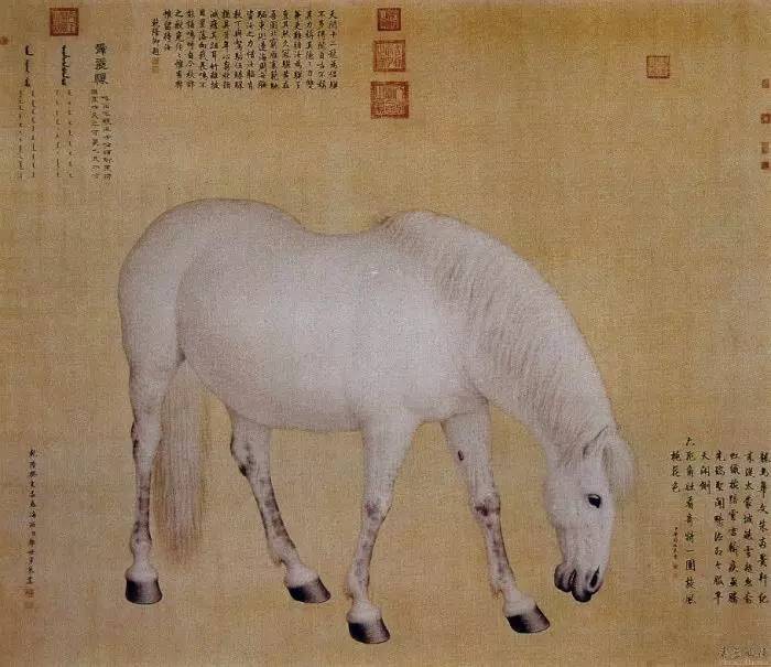 清朝宫廷画家郎世宁画作大全乾隆魏璎珞画像皆出其手