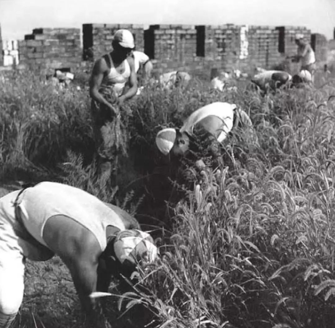 消息称，三个小时约泡，到底有没有人真的试过？聊聊那些不为人知的细节