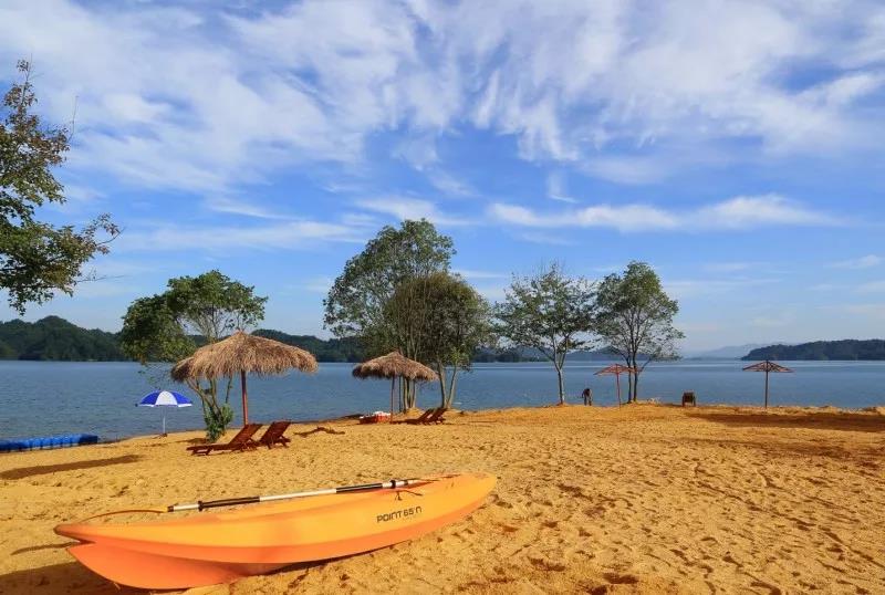 2019第五届山水武宁杨梅节将于6月16号开幕