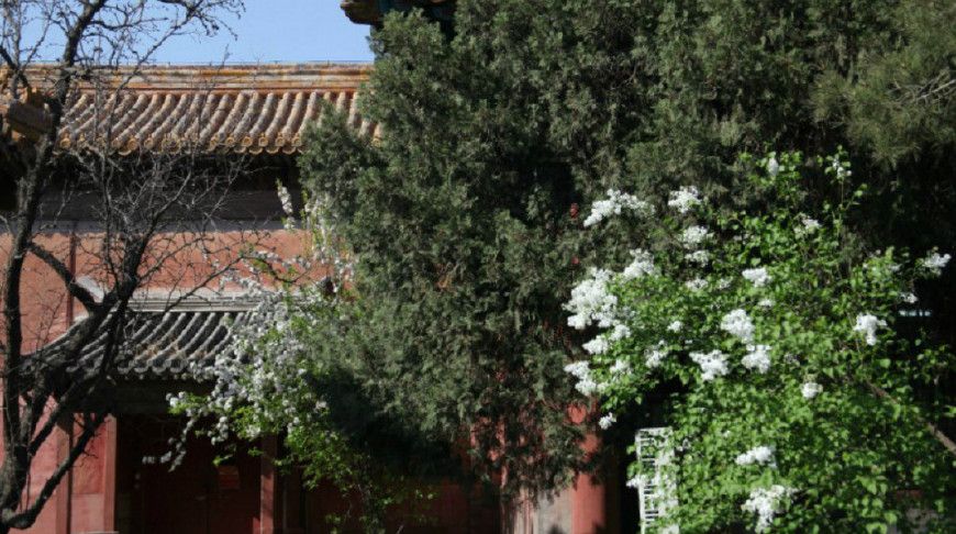 揭秘:宁贵人所住的故宫春禧殿,旧建何时被毁不祥,现已重建!