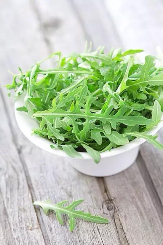皱叶莴苣和芝麻菜 日常减脂 简单易做 皱叶莴苣和芝麻菜 日常减脂 简单易做