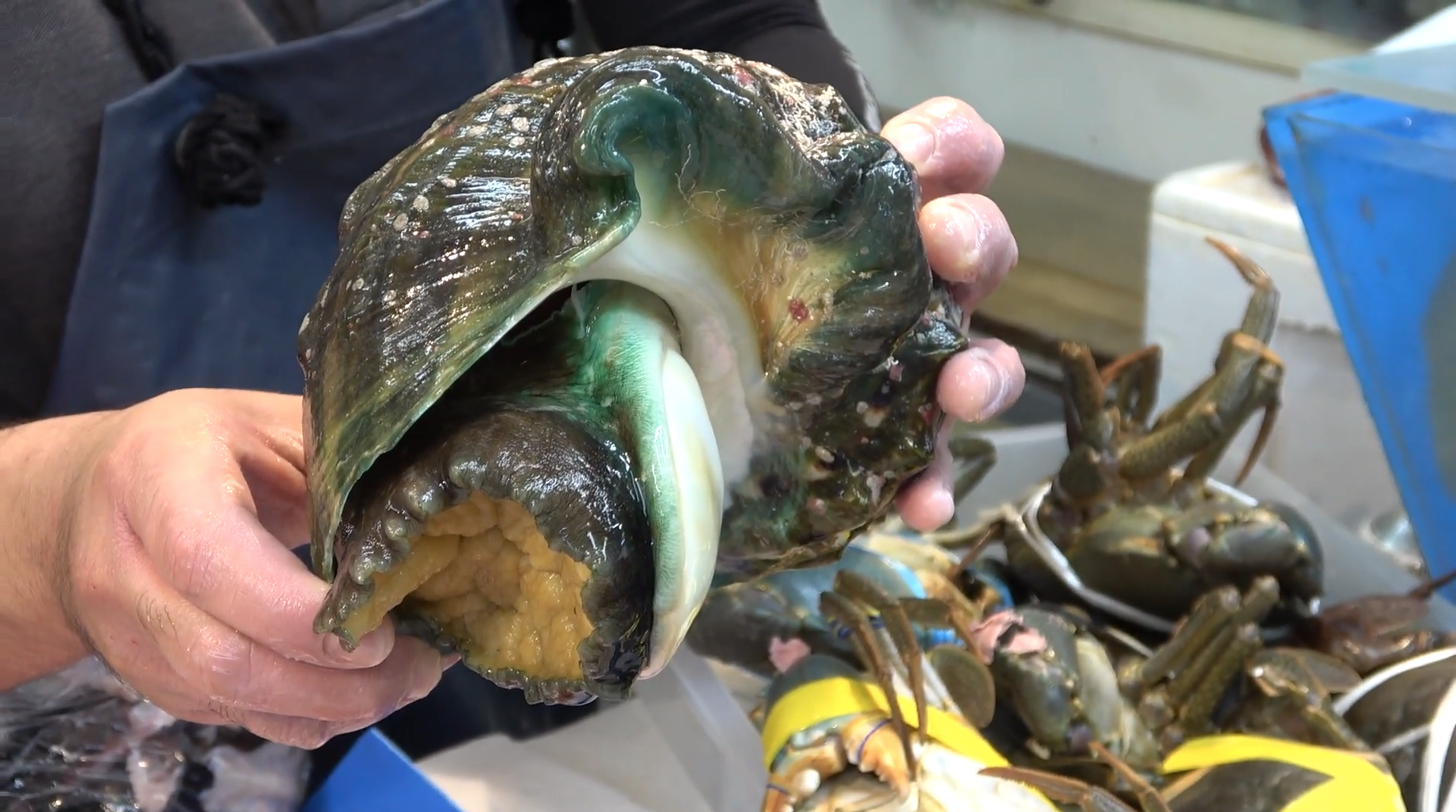 50+素晴らしい八角 魚 刺身 - 最高の花の画像