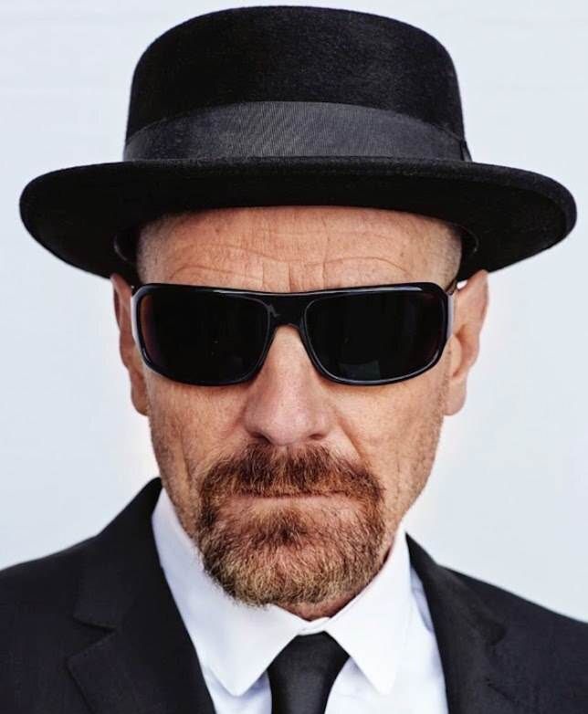 担任导演,布莱恩·克兰斯顿,亚伦·保尔,安娜·冈,迪恩·诺里斯,贝茜