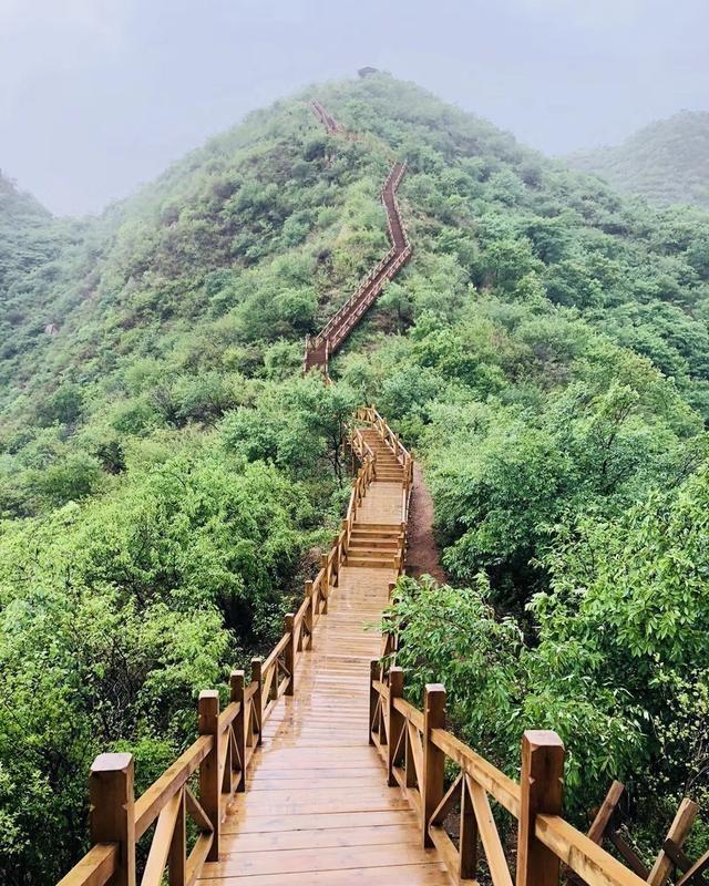 京郊爬山好选择,木栈道一通到底,漫步山间,满眼苍翠|木栈道|栈道|景区