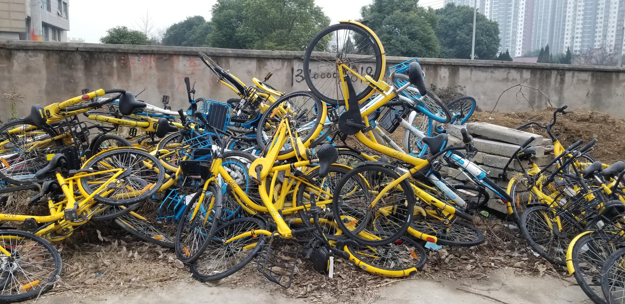 共享单车杂乱的堆在无锡的街头,有的已经爬满枯萎的藤条