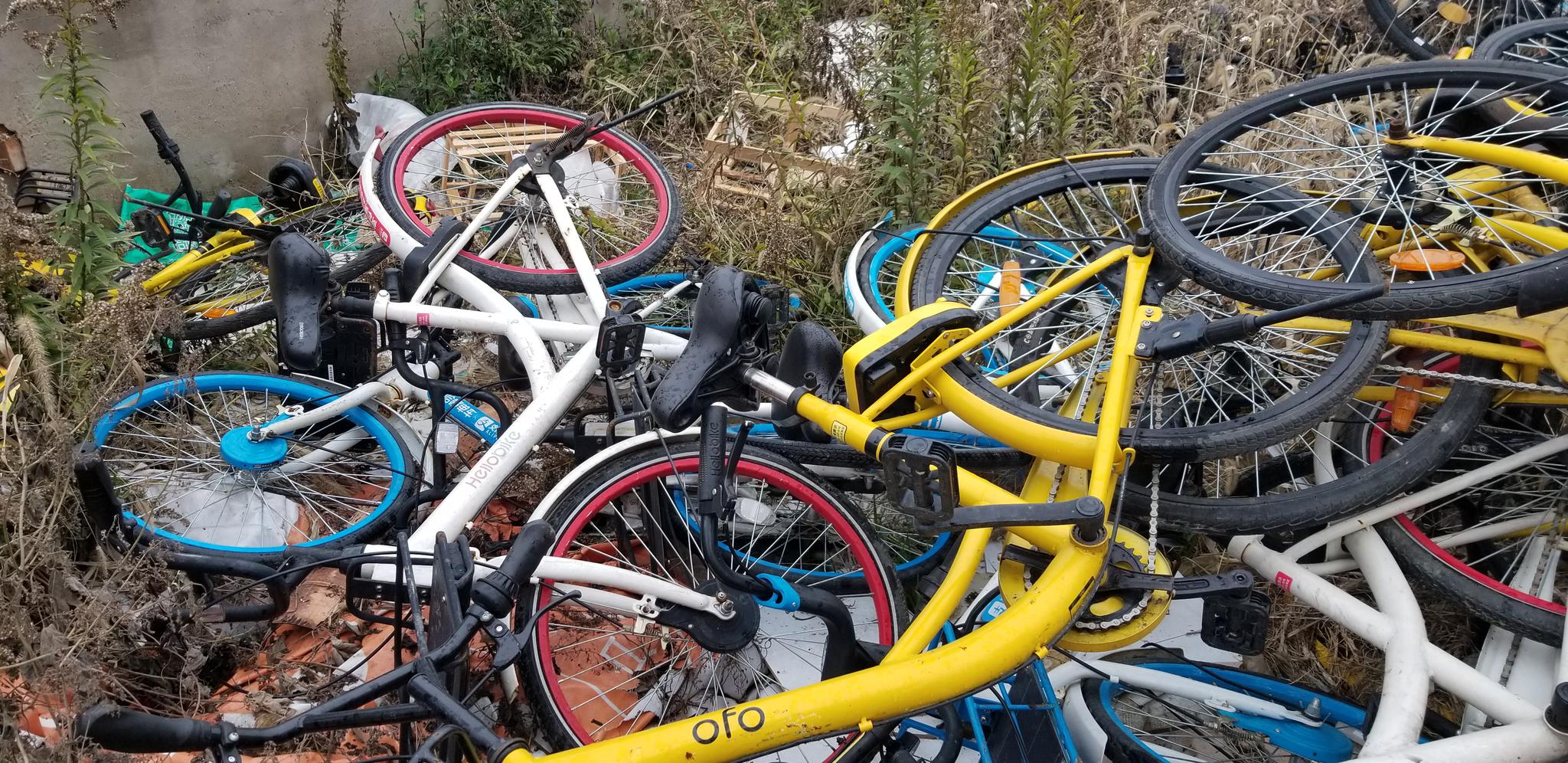 共享单车杂乱的堆在无锡的街头,有的已经爬满枯萎的藤条