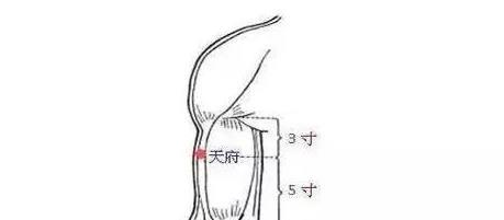 臂内侧面,腋前纹头下3寸,肱二头肌桡侧缘凹陷处.