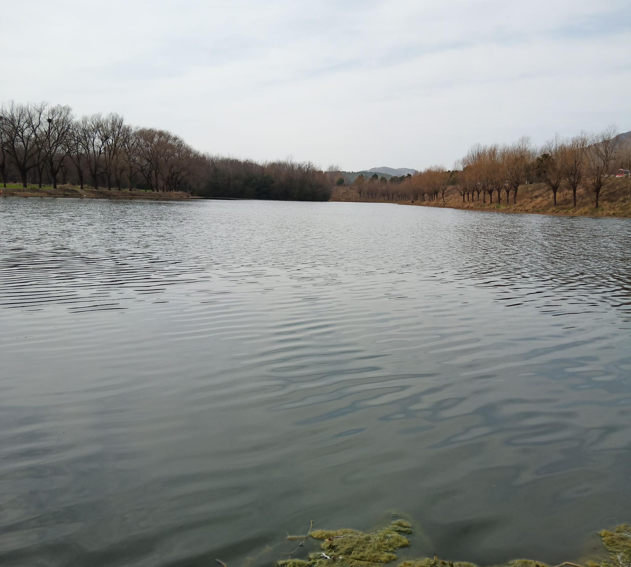 农村老家田园风景,清澈见底的河水