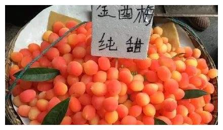 成都宽窄巷子的"西梅",让网友控制不住纷纷吐槽:居心何在?