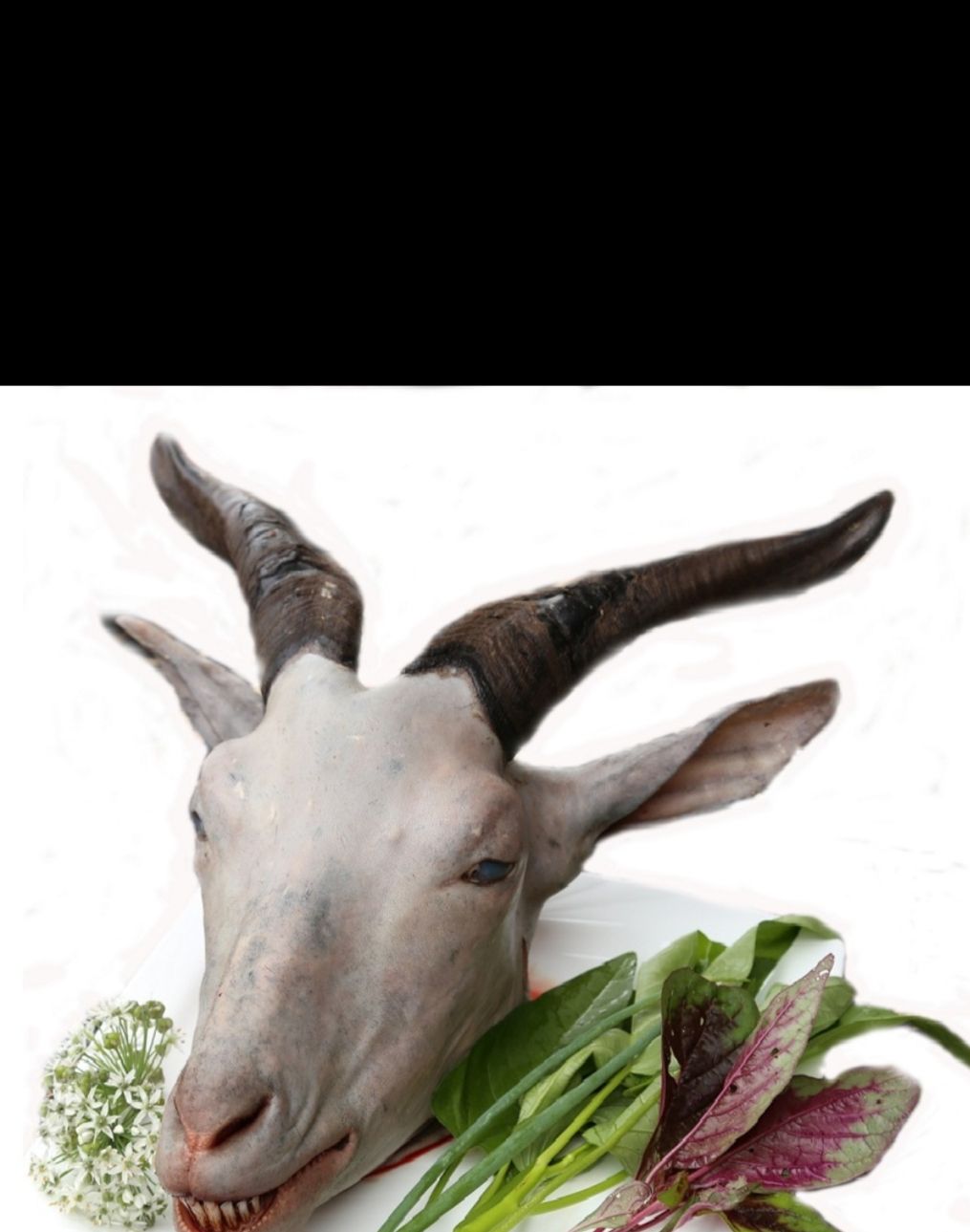 暖身补脑的——羊头汤_高清图集_新浪网