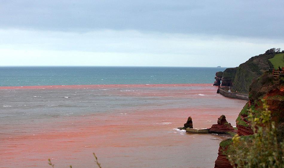 看过《红海行动》,那么你知道"红色海水"是怎样的吗?快来看看